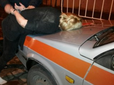У Львові п’яні панночки побили патрульних поліцейських