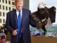 Ледь відбився: На Дональда Трампа напав орел (відео)