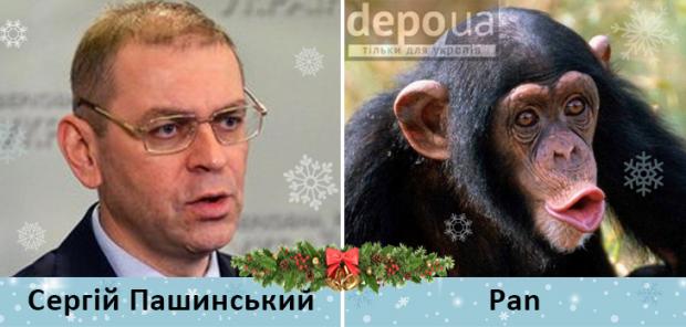 Політики та мавпи - фото 9