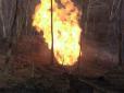 НП на Закарпатті: На газопроводі прогримів потужний вибух, стовп вогню піднімався на 50 м