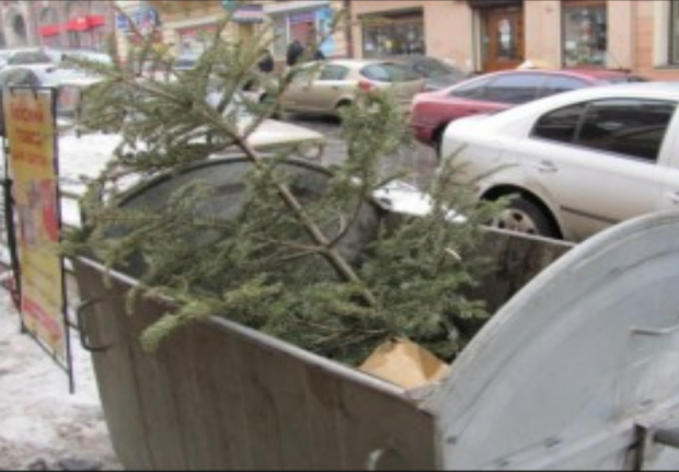 В "ДНР" попросили не викидати новорічні ялинки на смітники. Ілюстрація:vidido.ua
