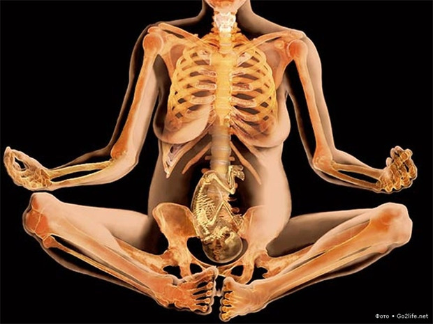 Пізнайте себе краще: 38 маловідомих фактів про людське тіло