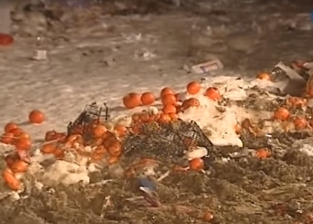 У РФ знищили 225 кг мандаринів. Фото: скрін відео