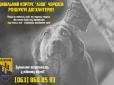 Війна живодерам: Ветерани «Азова» створили батальйон по захисту бездомних тварин