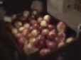 Скрепи шаленіють: У заполярному Мурманську спалили 200 кг яблук і томатів (відео)