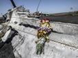 В Україні розвінчали гучний кремлівський фейк про катастрофу МН17
