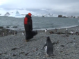 Саме місце: Патріарх Кирило поїхав до пінгвінів в Антарктиду (відео)