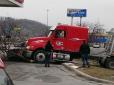 Поліцейські кажуть, що такого ще не бачили: У США пес за кермом вантажівки влаштував аварію (відео)