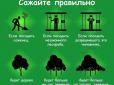 Чому в Україні садити чиновників вигідніше, ніж дерева (інфографіка)