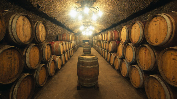Україна планує розвивати виноробство. Фото: soveti posvety.ru.
