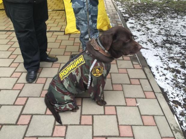 Собак під судом, де зачитують вирок Надії Савченко, одягли у форму МВС РФ. Фото: Facebook
