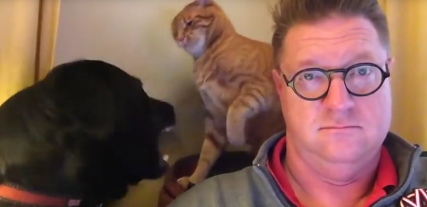 Божевільна бійка кота з собакою та незворушний господар: відео, що підірвало соцмережі