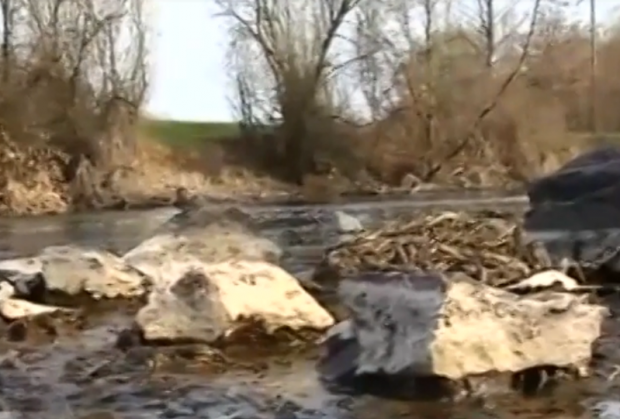 Річка Хомора отруєна фекаліями та клеєм. Фото: скрін відео