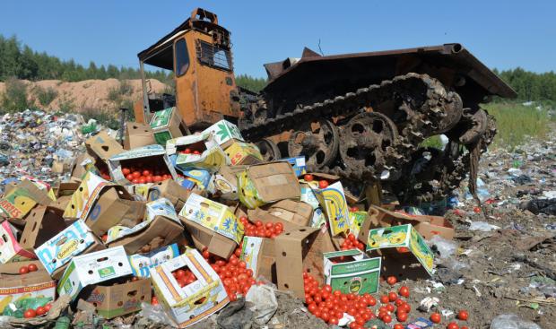 Росіяни знищують санкційні помідори. Ілюстрація: cepr.su.