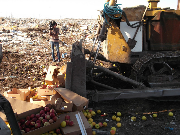 Не з'їсть ніхто: У Росії знищили партію українських яблук (відео)