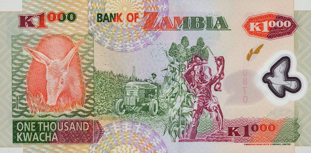 Замбійська квача стала найвигіднішою валютою 2016 року. Фото: e-allmoney.ru.
