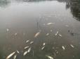 На Житомирщині важка екологічна катастрофа - отруєна вода двох річок