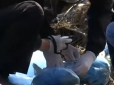 М'ясницька робота підприємців від медицини: На сміттєзвалищі на Сумщині виявили десяток людських кінцівок (відео)