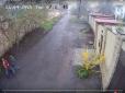 Хуліганка: В Одесі шукають даму на BMW X3, яка обірвала квітковий кущ (відео)