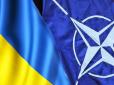 НАТО готується запропонувати Україні та Грузії 