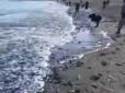 Масове божевілля голодних росіян: На ​​Сахаліні люди цілими сім'ями кинулися збирати викинуту на берег мойву (відео)