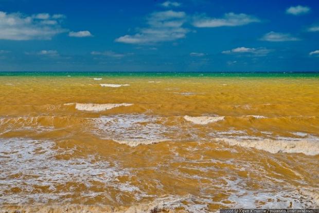 Вода у Чорному морі стала жовтою. Фото: ЖЖ.
