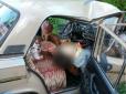 Жахлива аварія: В Кривому Розі священики потрапили в ДТП, є загиблий (фото)
