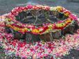 Кохання, намальоване квітами: Чинадіївський замок вкрився трояндами (фото, відео)