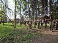 Бацькаюгенд?!: Білоруських  підлітків  муштрують бойовики з Донбасу