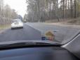 Як ремонтують дороги в Польщі, - блогер