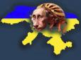 Московський слід колорадського жука: Хто і як розпалює ненависть до української влади в соцмережах, - блогер