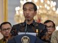 Влада Індонезії ввела смертну кару і хімічну кастрацію для педофілів