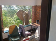 Повірив в людей: Поранений дикий слон прийшов за допомогою до лікаря (фото)