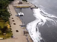 Екологія: У Херсоні води Дніпра стали білими (відео)