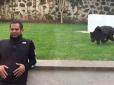 Обійми від великої кішки: жвава пантера підірвала інтернет (відео)