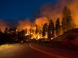 У Росії палає понад 50 га тайги: Пожежу намагаються загасити десятки військових літаків