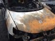 У Житомирі горять машини: Невідомі знищили 7 автомобілів, 2 з них належали прикордонникам (фотофакт)