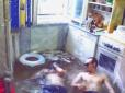 Красиво жить не запретишь: Росіянин примудрився перетворити кухню хрущовки на басейн (фотофакт, відео)
