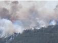 Карма скреп: Під Севастополем - масштабна лісова пожежа (відео)