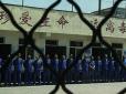 У Китаї понад півтора мільйона в'язнів пустили на органи, - доповідь правозахисників