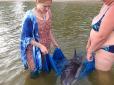 Вона шукала свого загиблого друга і ледь сама не загинула: В курортному селі на Миколаївщині люди врятували самицю дельфіна (фотофакти)