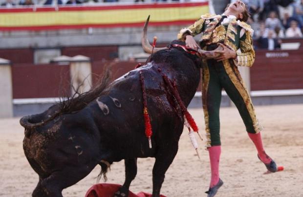 Кількість боїв биків в Іспанії поступово скорочується. Фото: maxpark.com