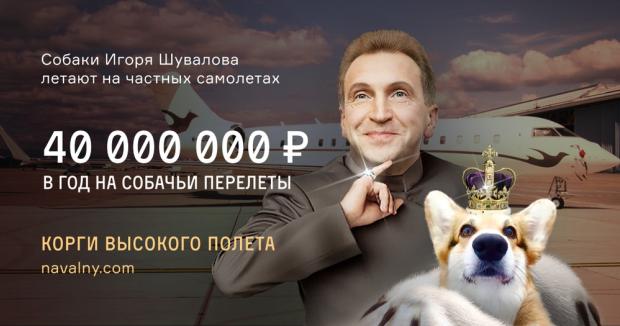 ВІП-собаки Ігоря Шувалова. Скріншот.