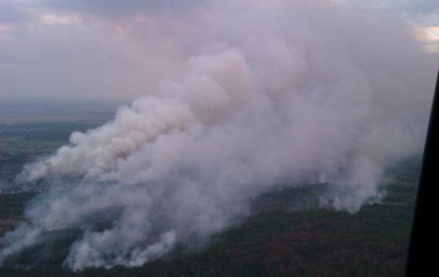 Пожежа у зоні відчуження. Фото:https://www.rbc.ua/