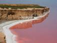 Україна, що заворожує: Рожеві озера замінюють місцевим Мертве море (фотофакти)