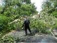 Страшна буря пронеслася над Полтавщиною: У 25 селах сильний вітер зривав дахи і валив паркани (відео)