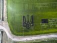 Це наша люба Україна: Аграрії Херсонщини висіяли рисом рекордний тризуб (фотофакти)