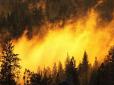 Екологічна катастрофа: У Москві задимлення через жахливі лісові пожежі