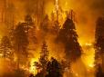 ​Росія палає, масштаби жахливі: Дим тотальних пожеж Сибіру докотилися аж до Москви, горить і Підмосков’я
