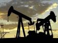 ​Країни-бензоколонки підраховують збитки: Нафта оновила 4-місячний рекорд падіння